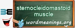 WordMeaning blackboard for sternocleidomastoid muscle